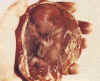 bebe12semanas.jpg (28578 bytes)