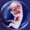 bebe8semanas.jpg (37425 bytes)