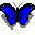 butterfly.gif (288 bytes)