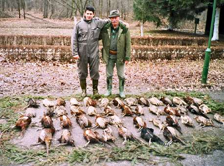 Pheasant hunt in Serbia, Fasanjagd in Serbien, Caccia del fagiano in Serbia , Caza del fais�n en Serbia 