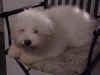 Casper2.jpg (53346 bytes)