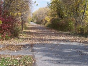 Looking eastward down the Prairie Duneland Trail
