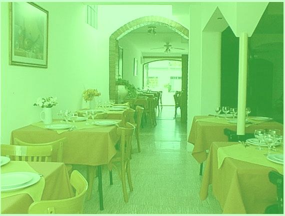 Recorra nuestra galeria de fotos