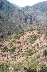 Momta�ismo en Los Andes