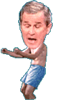 Bush