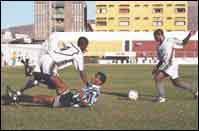 Saci