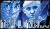 Harry Draco Shipper
