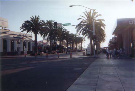 The beach, right where my friends live.  Everyone wants to steal
this picture.