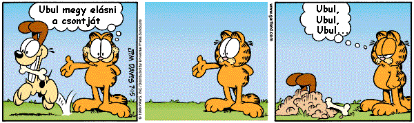 0017.gif