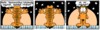 0050.gif