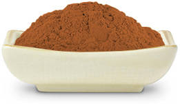 ganoderma-fungus