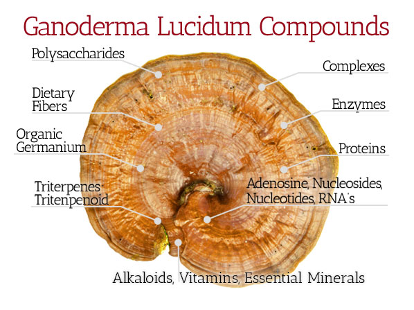 ganoderma_with_description_revised_final