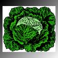 Ser� que v�o plantar couves?