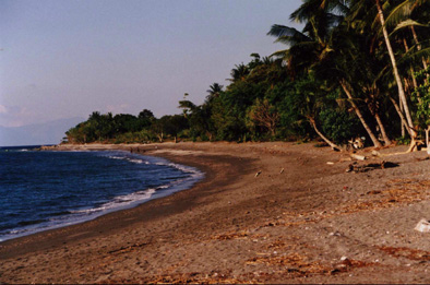 Praia de Liqui��