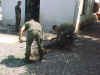 Maubara