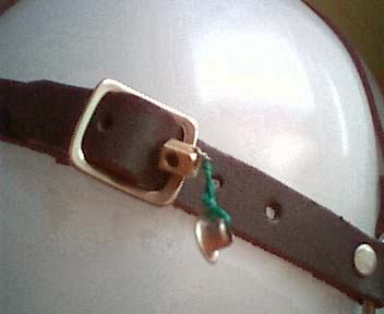 close-up of head harness inserts