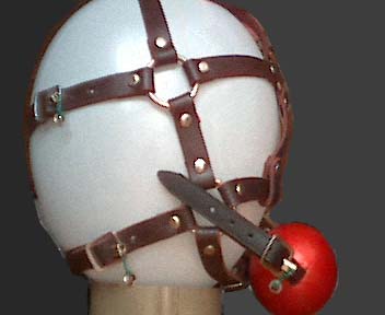 head harness with inserts