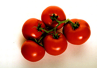 Tomato photo