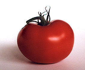 Tomato photo