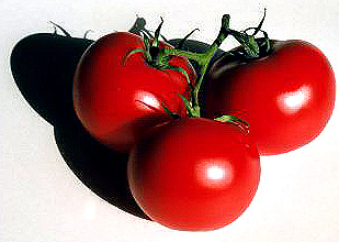 Tomato photo, welcome