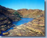 Beautiful Oasis in the Olgas