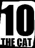 The cat
