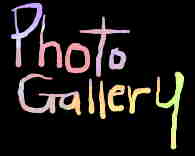 photo gallery