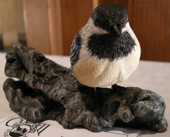 Carolina Chickadee