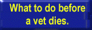 What to do