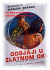 Reflections in a Golden Eye (1967)  Elizabeth Taylor  John Huston            