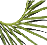 The hierarchical structure of the site with complete hyperlinks - an easy way to navigate this site