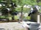 Pigeoned-Blur-Air.jpg
