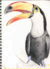 1997-10-13_Toucan.jpg (89057 bytes)