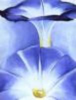 thm_okeeffe_nyg_30704.jpg