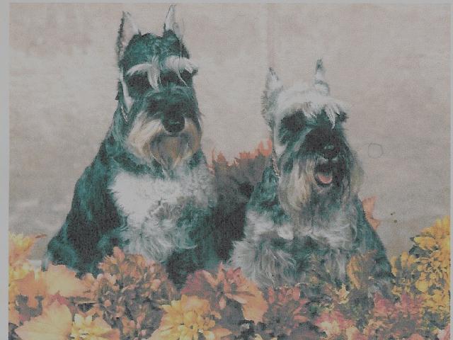 April and Carrie pose for the camara