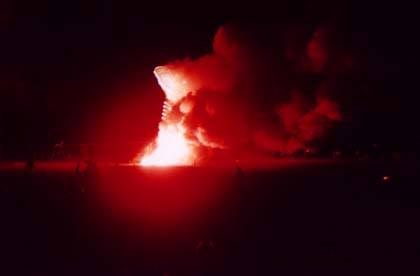 Image -- The Burn