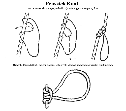Prussick knot