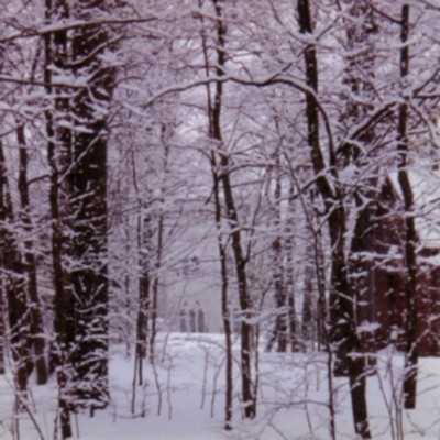 Chemin d'hiver