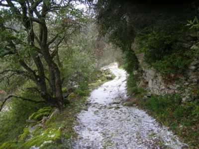 Chemin de Sivergues