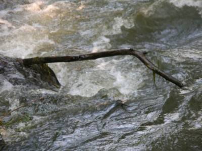 Saut au r&eacute;collet