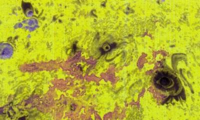 Apart jaune
