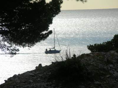 Cassis