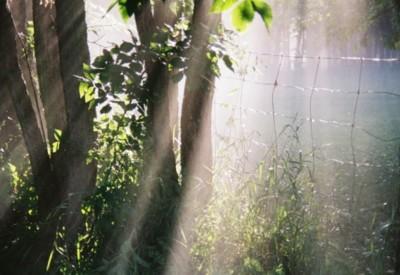 Froid soleil
