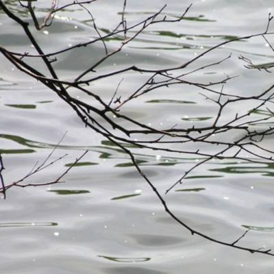 Au fil de l'eau