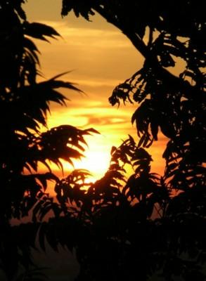 Soleil dans le noir