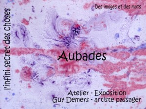 Affiche Aubade mauve