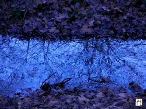 Gd Joie Photographie bleu