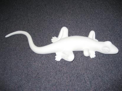 Lizard