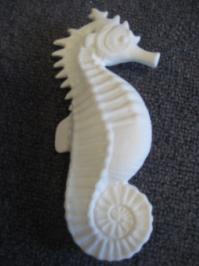 Seahorse to Paint