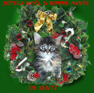 Merci!Elle est jolie ton image...